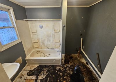 before Threshold Environmental Accessibility Adaptations on a bathtub